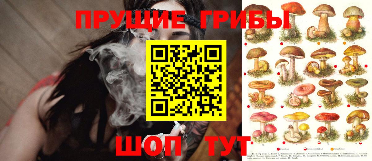 Амфетамин кристаллы  Каннабис  Наркошоп  Обнинск  Марихуана  Экстази  МЕФ   Codein  Гашиш  Вход с VPN 