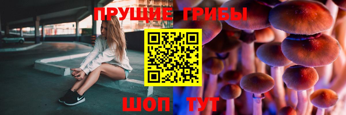 Обнинск  что такое   Псилоцибиновые грибы мухоморы  Вход с VPN  Псилоцибиновые грибы мицелий 